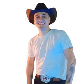 Henrique Toledo